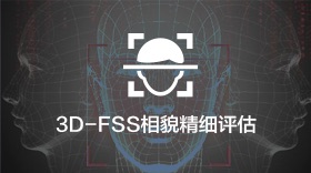 3D-FSS相貌精细评估