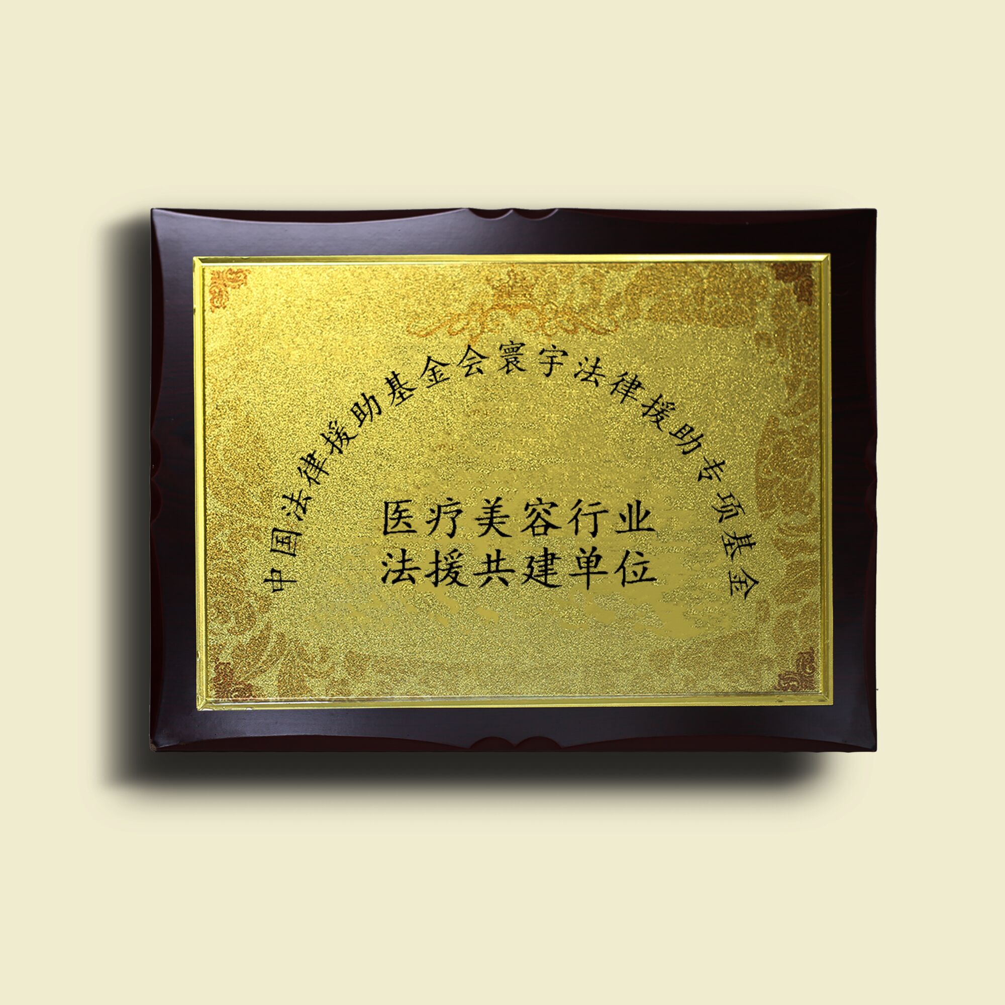医疗美容行业法援共建单位