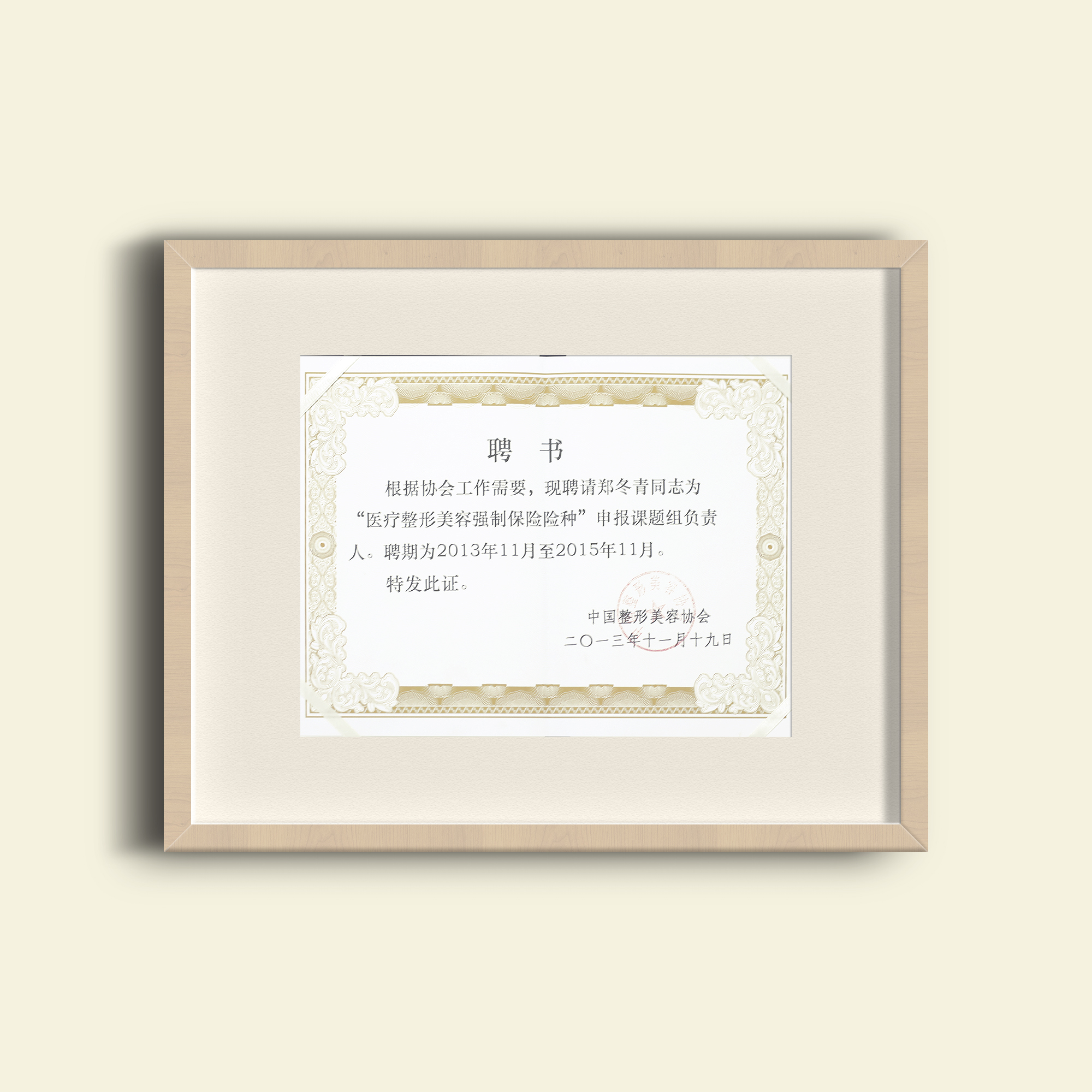 “医疗整形美容强制保险险种”申报课题组负责人