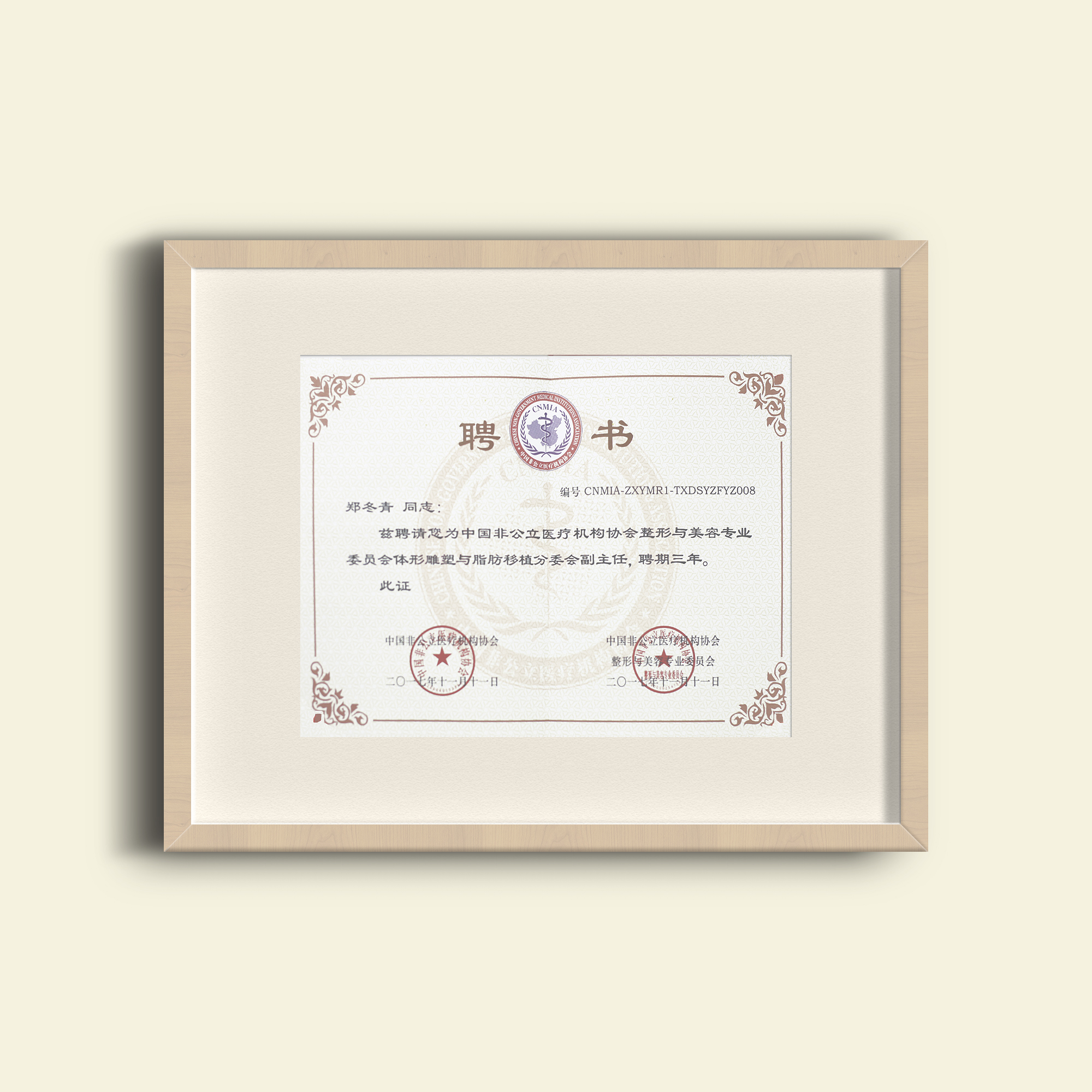 中华医学会形体雕塑与脂肪分会副主任